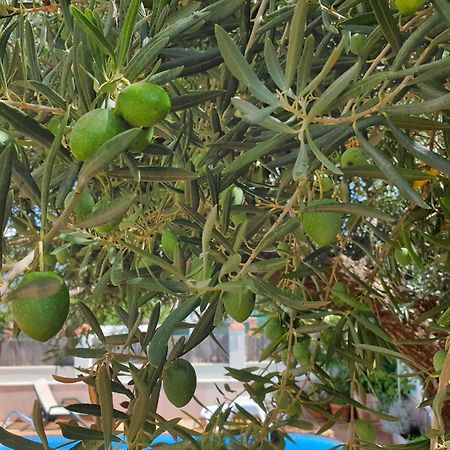 Alojamiento El Olivo Ronda Pokoj fotografie