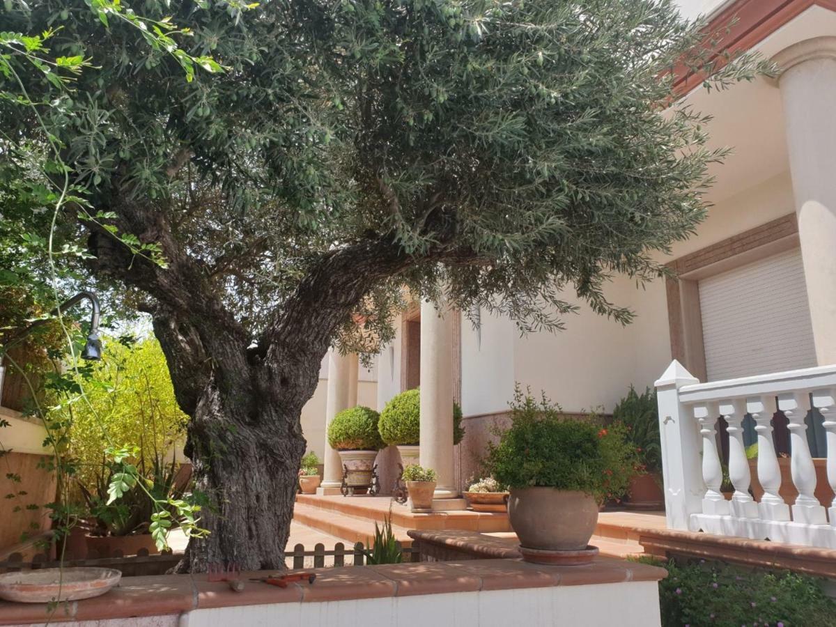 Alojamiento El Olivo Ronda Exteriér fotografie