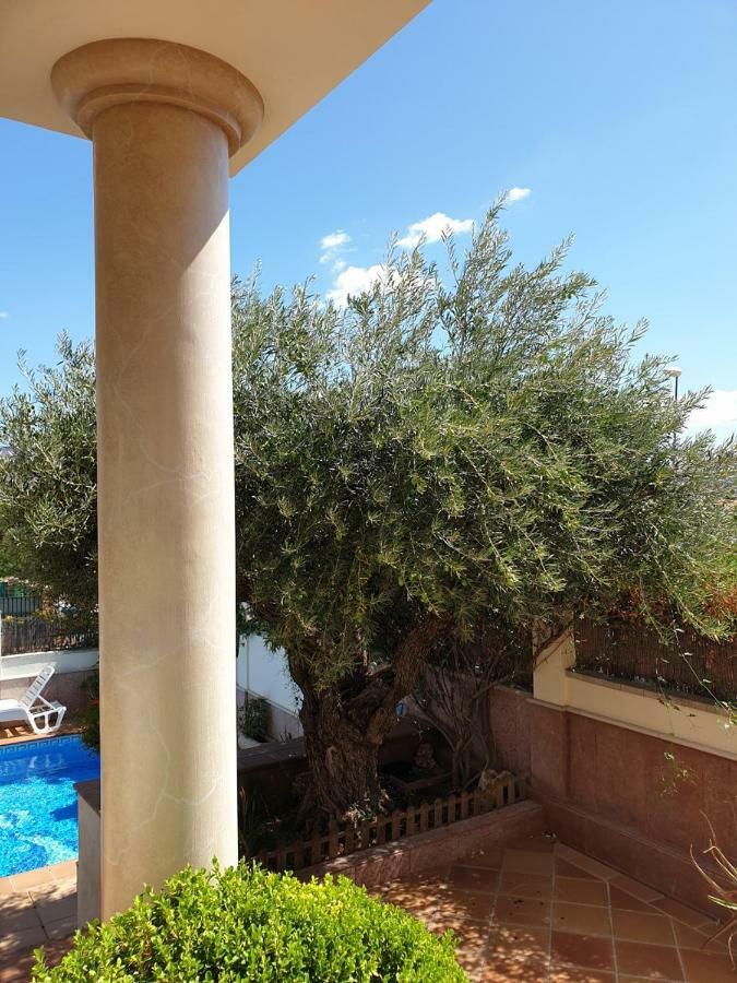 Alojamiento El Olivo Ronda Exteriér fotografie